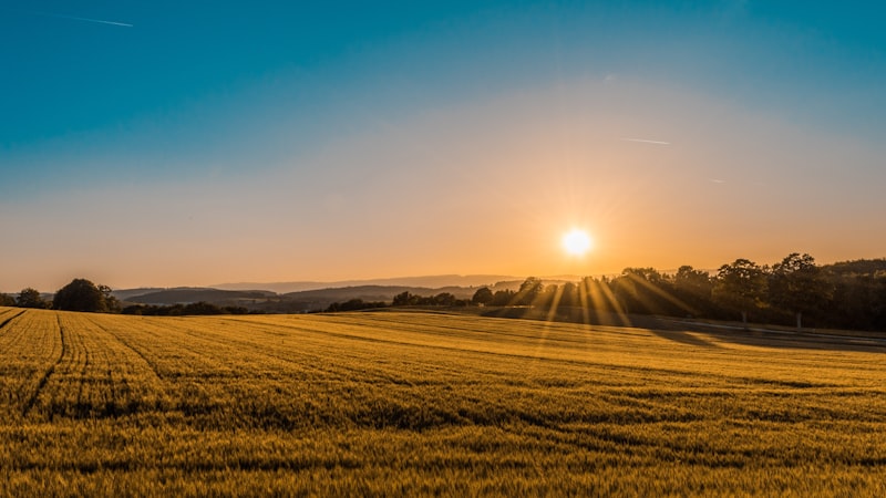 Saskatchewan prairie landscape at sunset
